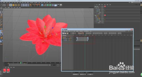 C4D怎么制作花朵開放的動(dòng)畫效果