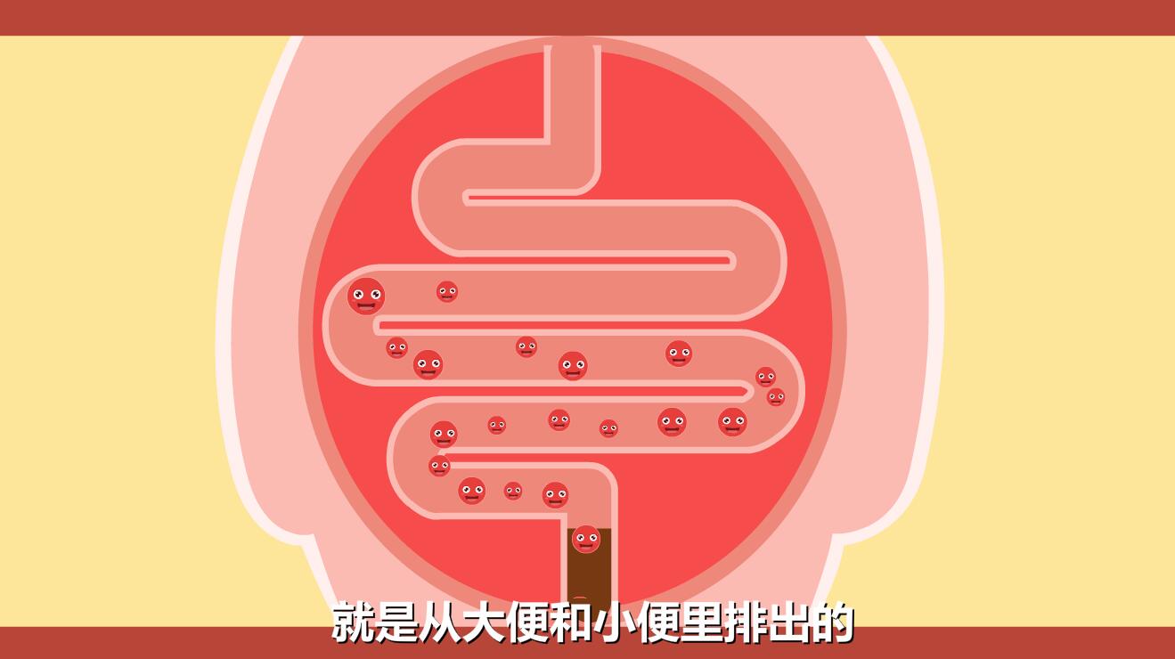 新生兒黃疸怎么退的快？膽紅素跟隨大小便排除體外.jpg