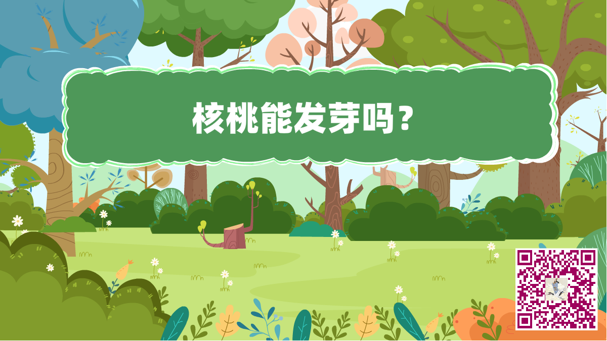 十萬個為什么標(biāo)題（核桃發(fā)芽）二維碼.png