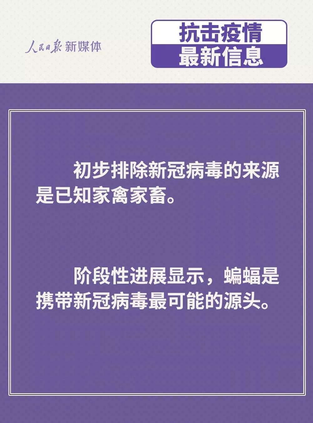 防控新型冠狀病毒：雞鴨會傳播病毒？疫苗研究得怎樣？.jpg