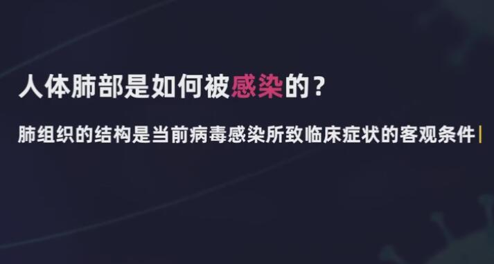 新型冠狀病毒肺炎科普動畫制作