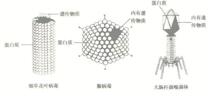 黃鶴樓動(dòng)漫