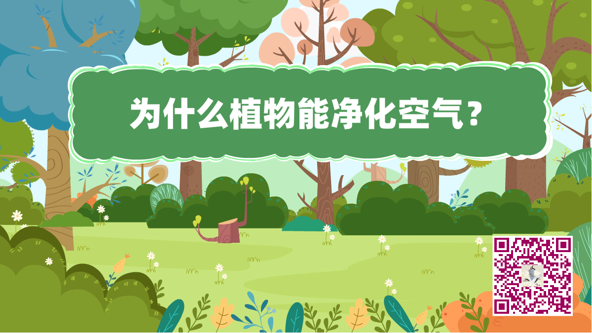 十萬個為什么標題（植物凈化空氣）1200.png