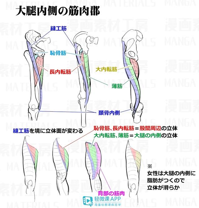 黃鶴樓動(dòng)漫