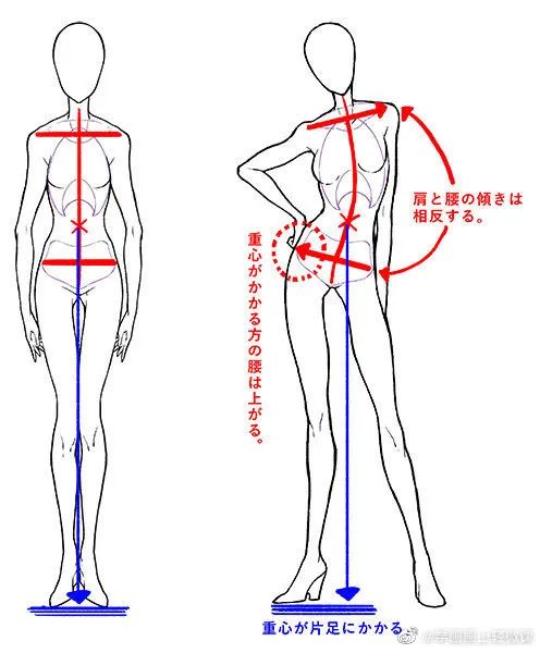 人體動勢線與姿勢參考，學畫畫收藏不虧