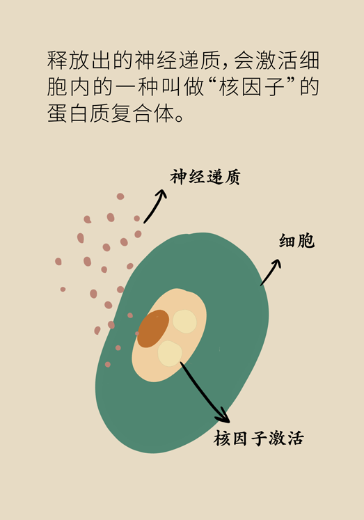 癌癥與睡眠都有那些關(guān)系？