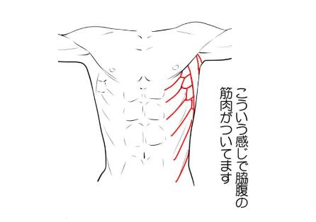 手繪動(dòng)漫設(shè)計(jì)：肝不肝你說了算！人體姿勢(shì)素材大分享