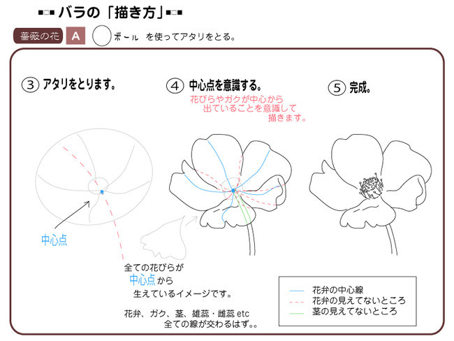 各種花的簡單畫法，一步一步教你畫鮮花