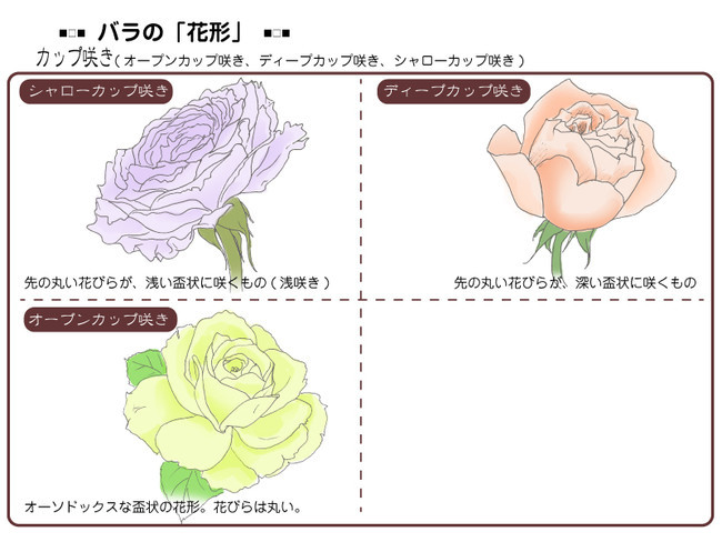 各種花的簡單畫法，一步一步教你畫鮮花