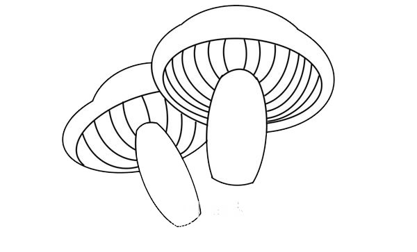 彩色蘑菇簡筆畫畫法步驟圖片