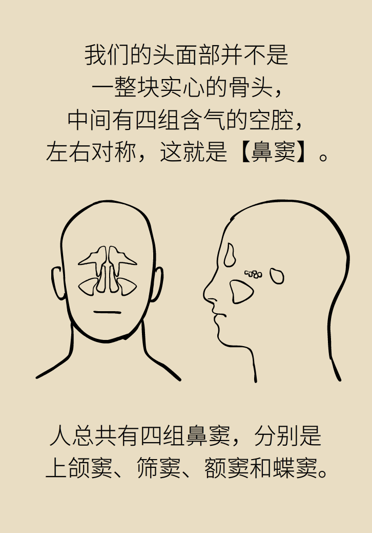 為什么鼻竇發(fā)炎，疼的卻是頭、眼和牙？