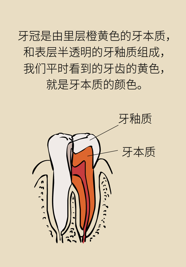 牙太黃，這些“美白”方法管用嗎？