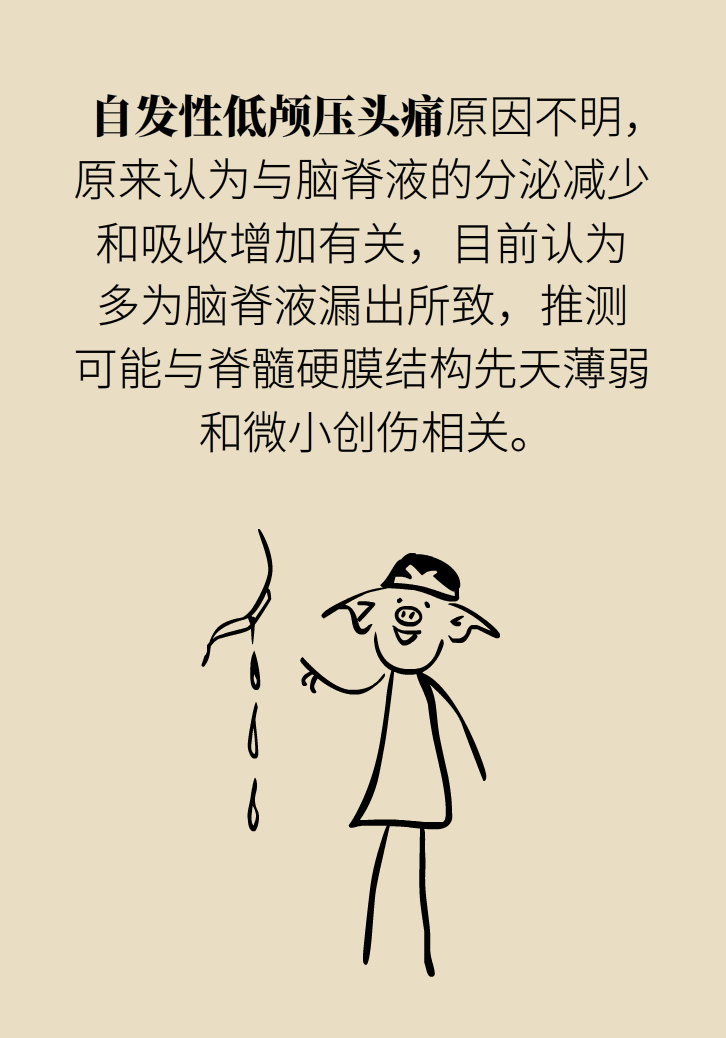 練瑜伽把腦脊液拉漏了！常見的“瑜伽病”你知道多少