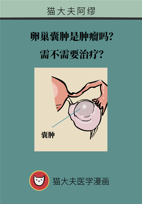 卵巢囊腫科普動漫：卵巢囊腫是腫瘤嗎？要學會這樣區(qū)分