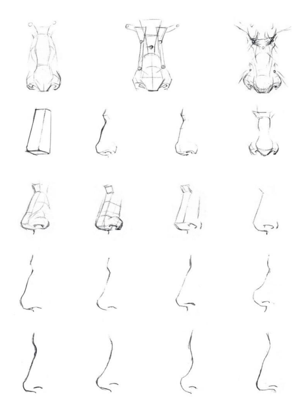 「動(dòng)漫設(shè)計(jì)」人體繪畫(huà)基礎(chǔ) part 02 認(rèn)識(shí)肌肉（1）