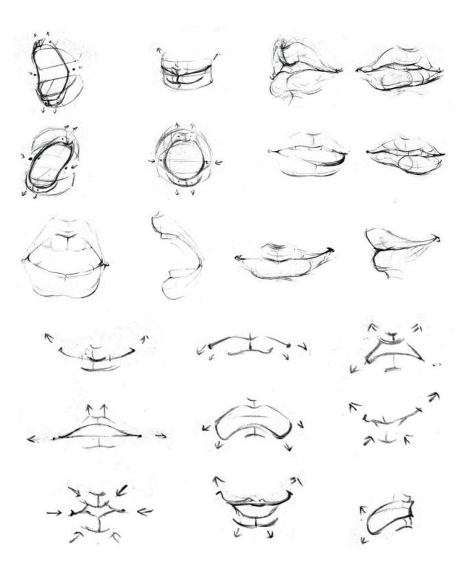 「動(dòng)漫設(shè)計(jì)」人體繪畫(huà)基礎(chǔ) part 02 認(rèn)識(shí)肌肉（1）