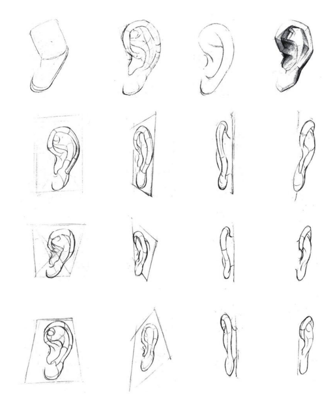 「動(dòng)漫設(shè)計(jì)」人體繪畫(huà)基礎(chǔ) part 02 認(rèn)識(shí)肌肉（1）