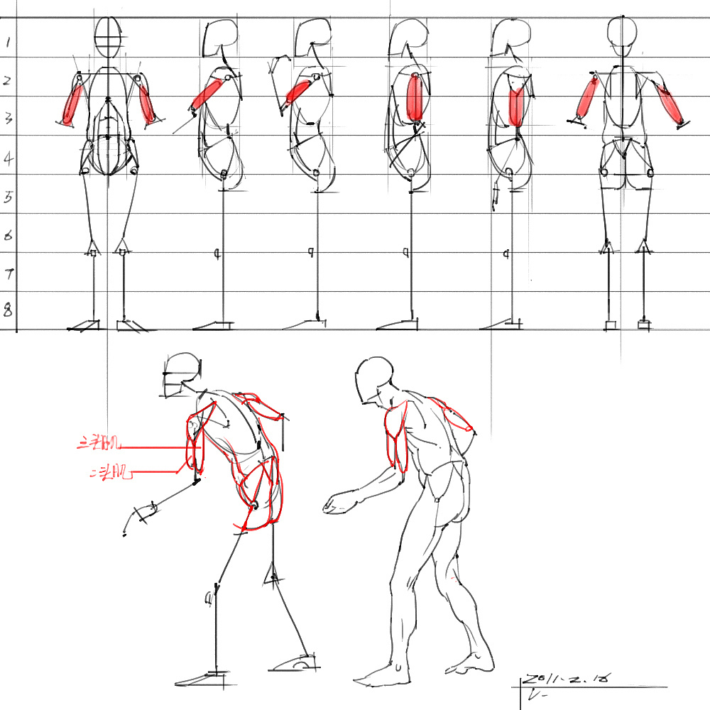 「動漫設(shè)計」分享一波繪畫專用人體解剖素材 part 03
