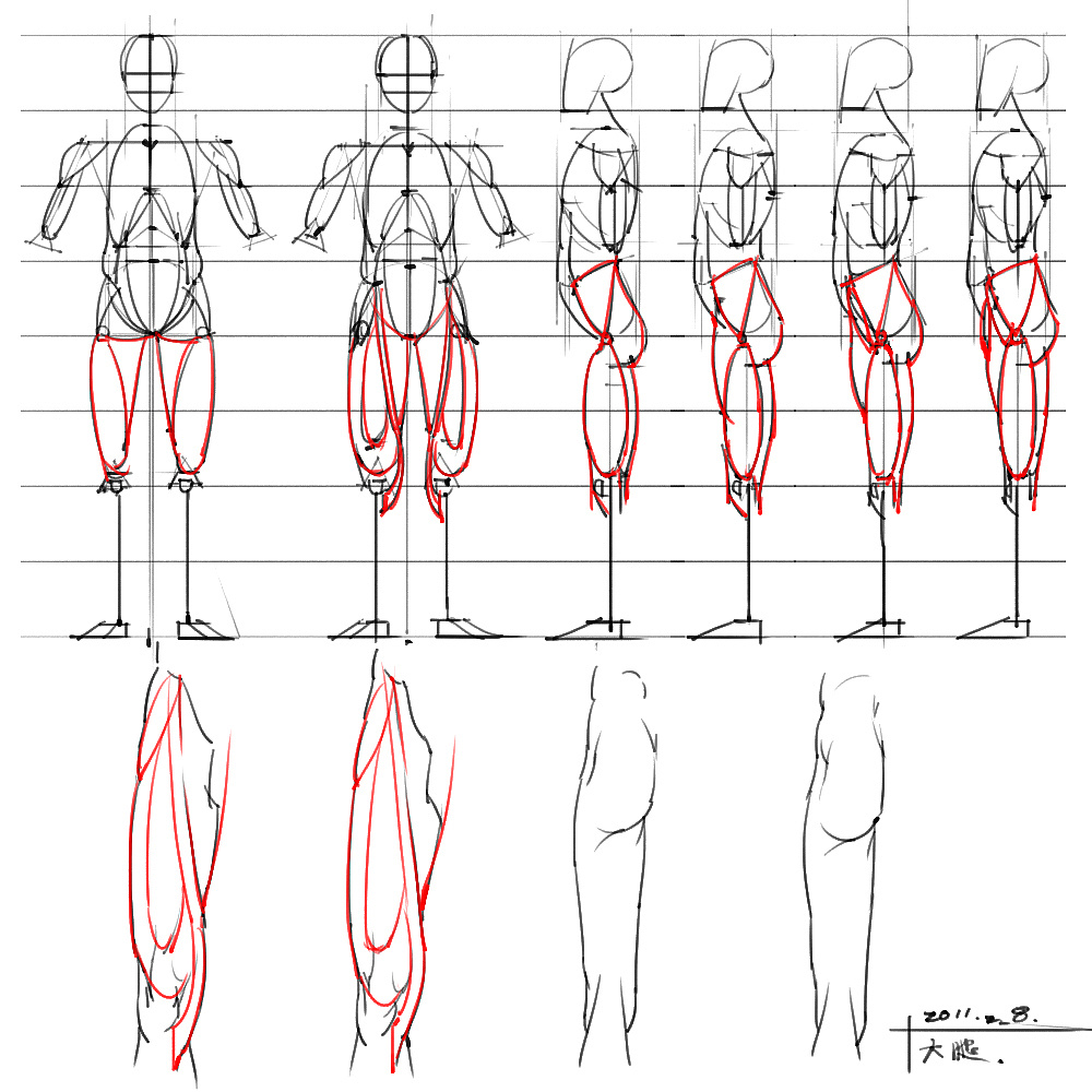 「動漫設計」分享一波繪畫專用人體解剖素材 part 04