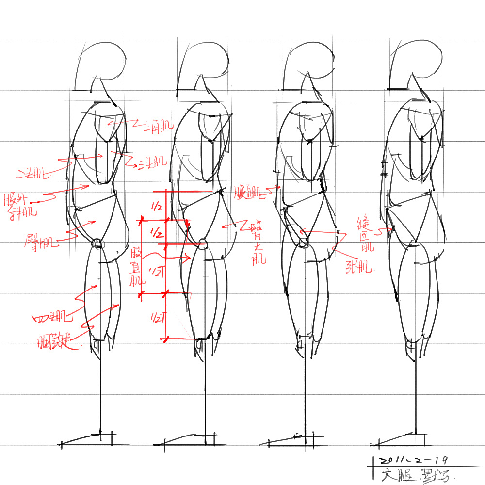 「動漫設計」分享一波繪畫專用人體解剖素材 part 04