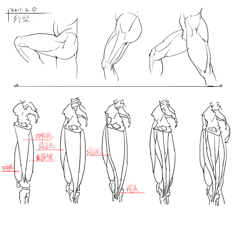「動漫設計」分享一波繪畫專用人體解剖素材 part 04