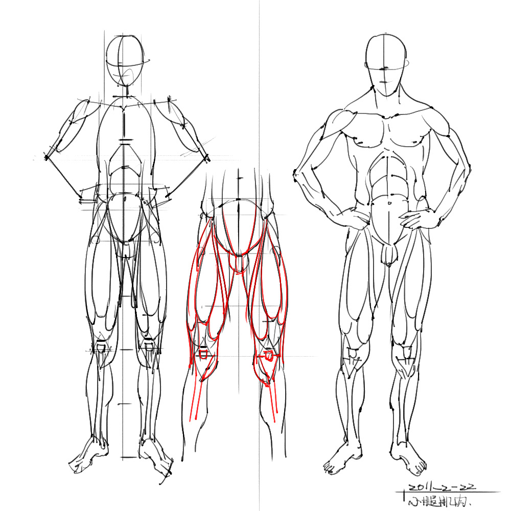 「動漫設(shè)計」分享一波繪畫專用人體解剖素材 part 05