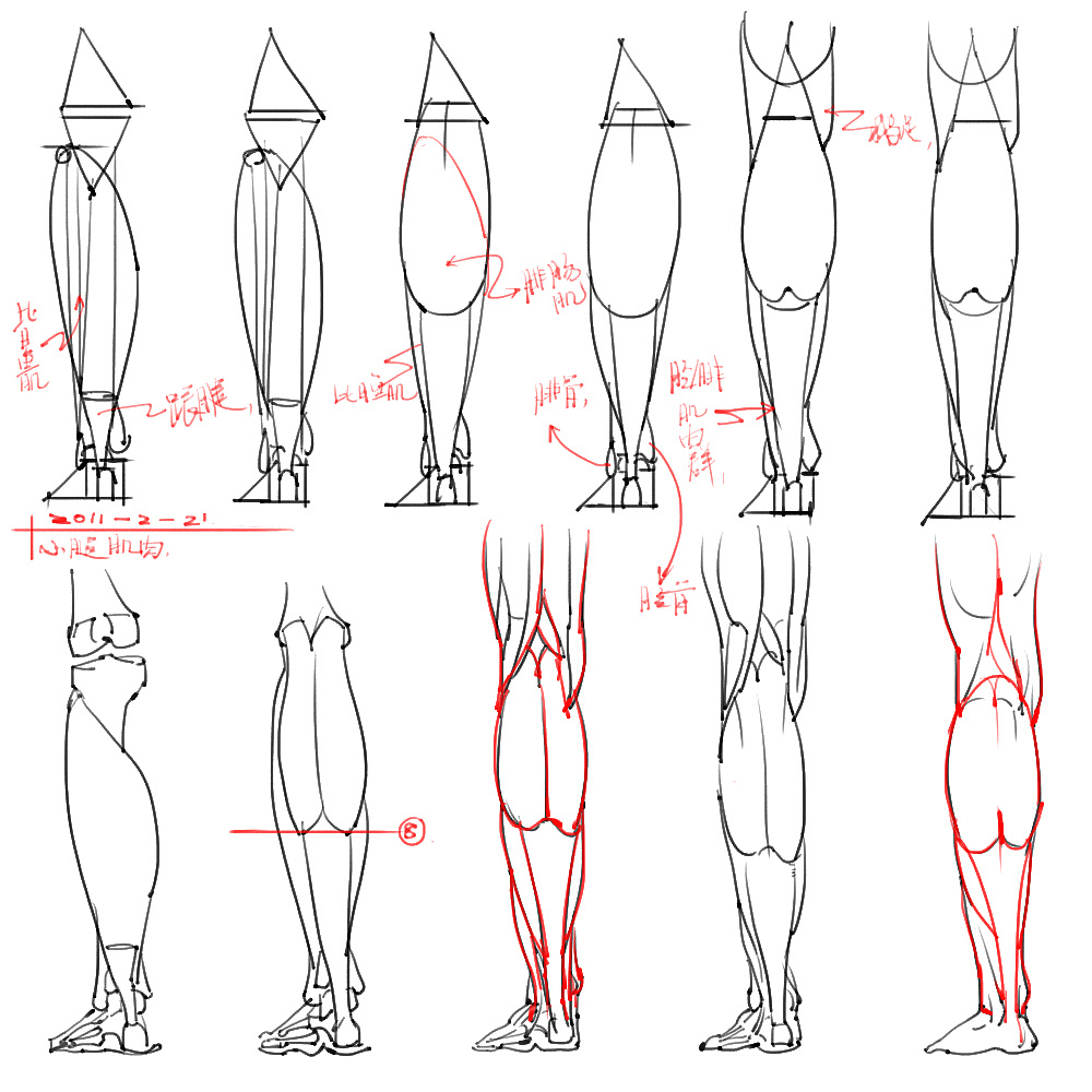 「動漫設(shè)計」分享一波繪畫專用人體解剖素材 part 05
