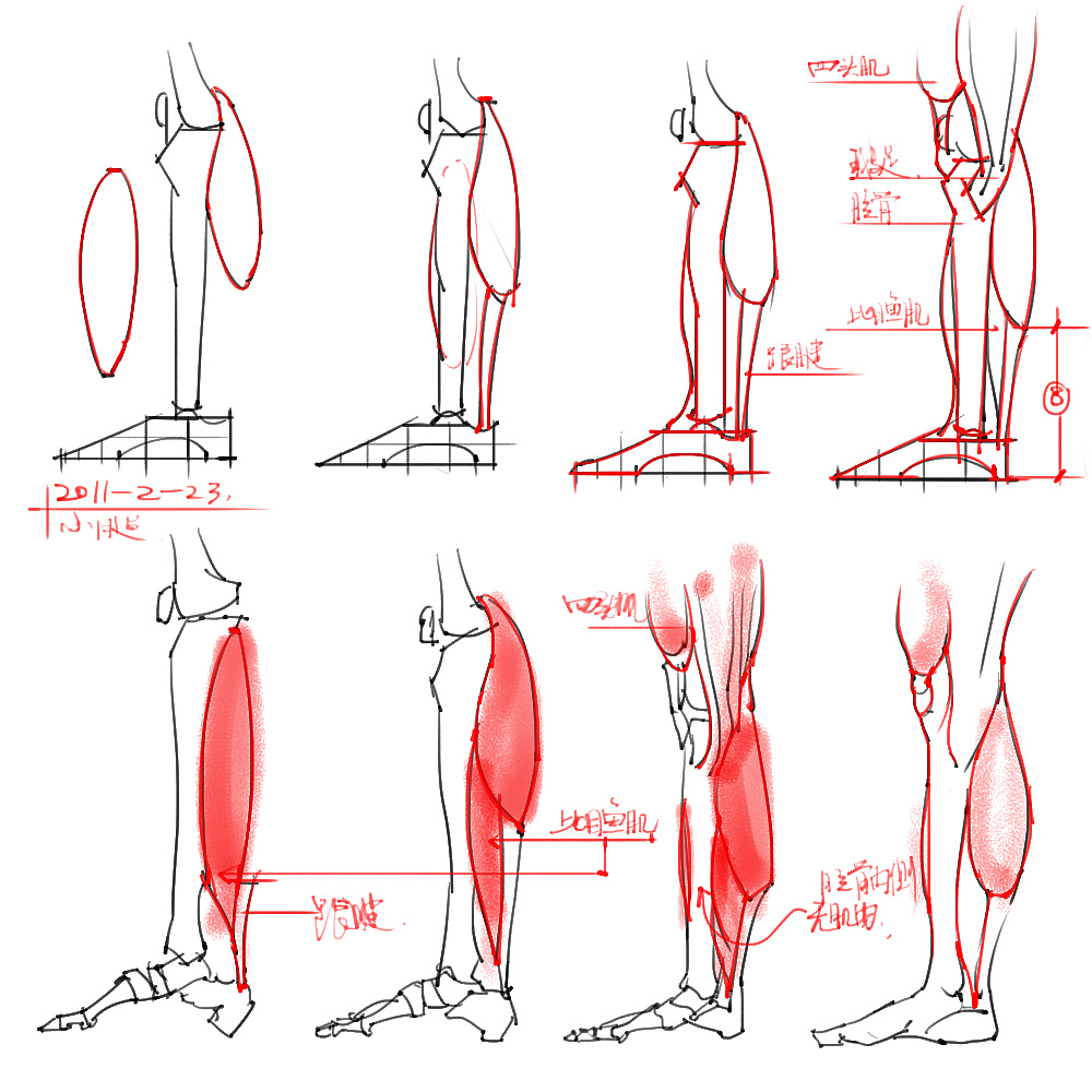 「動漫設(shè)計」分享一波繪畫專用人體解剖素材 part 05