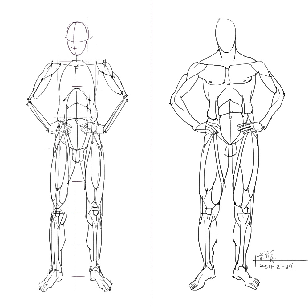 「動漫設(shè)計」分享一波繪畫專用人體解剖素材 part 05