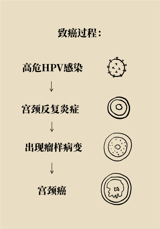 癌癥會傳染嗎？專家：這些高危因素得注意