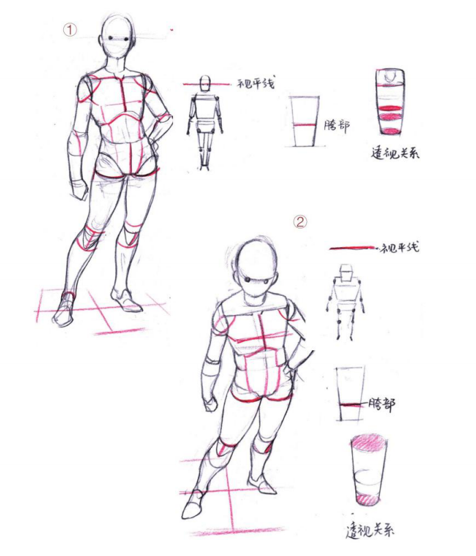 「動漫設(shè)計」人體繪畫進階 part 02 四大點八小點