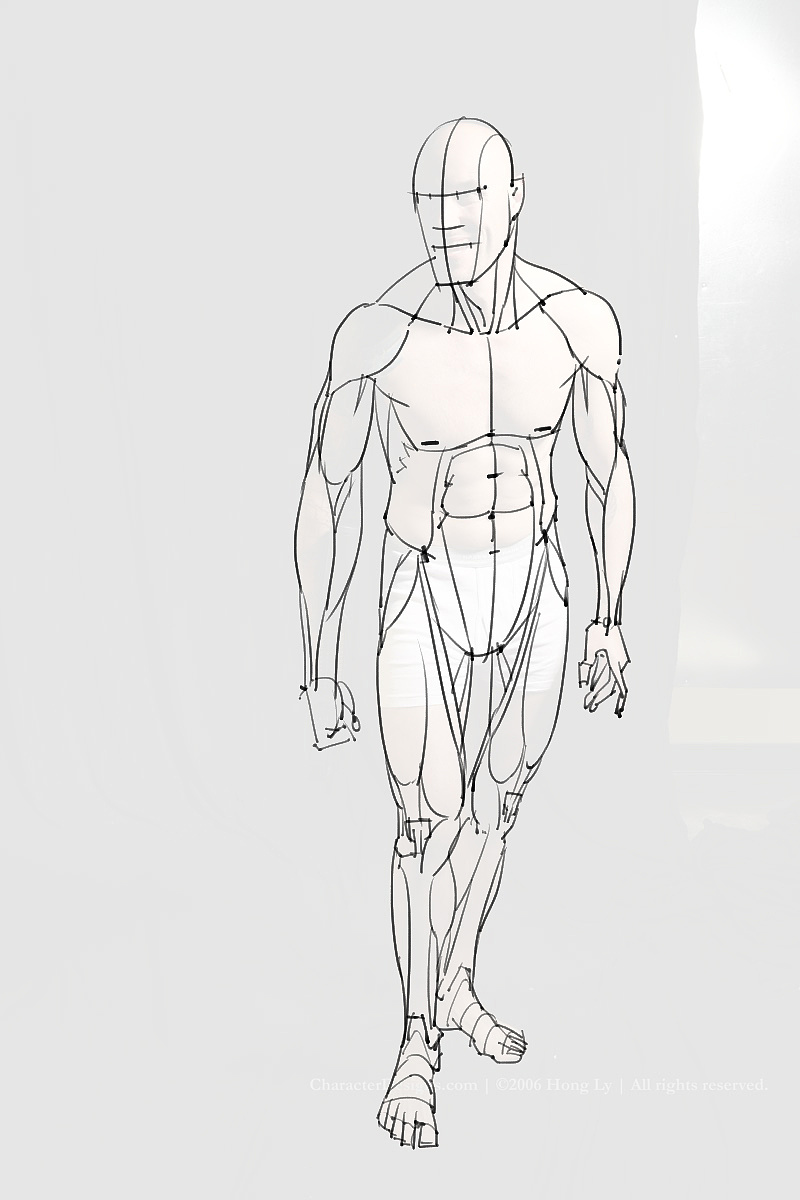 「動漫設(shè)計制作素材」分享一波繪畫專用人體解剖素材 part 10