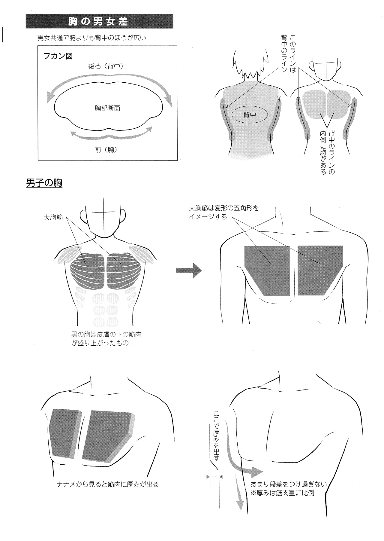 動(dòng)漫角色設(shè)計(jì)：描繪男女の差別