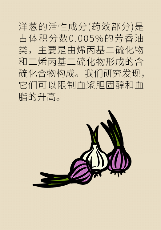 洋蔥可以預(yù)防動(dòng)脈硬化，是真的嗎？