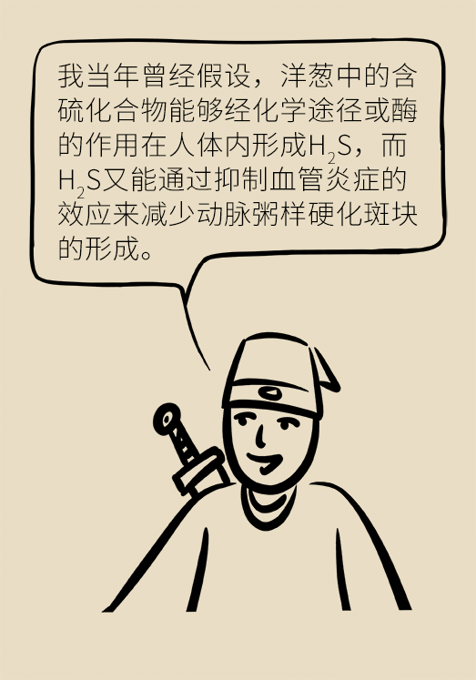 洋蔥可以預(yù)防動(dòng)脈硬化，是真的嗎？