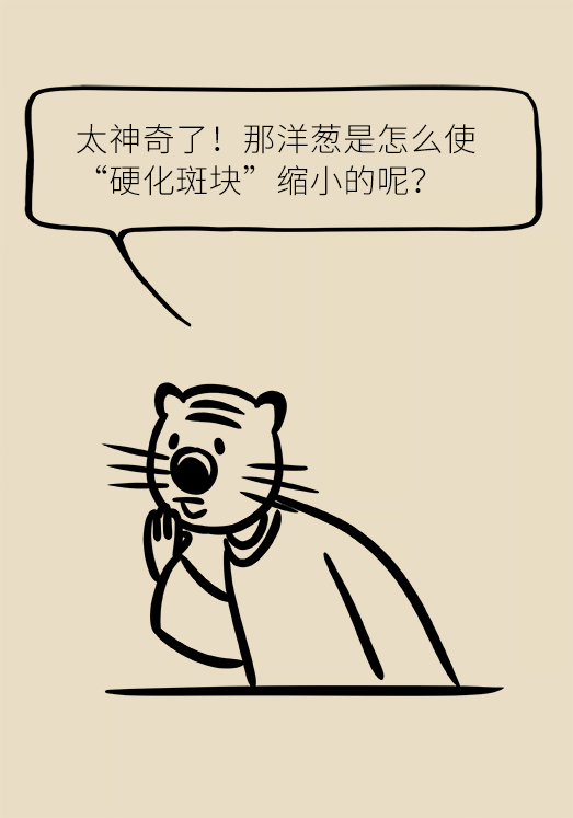 洋蔥可以預(yù)防動(dòng)脈硬化，是真的嗎？
