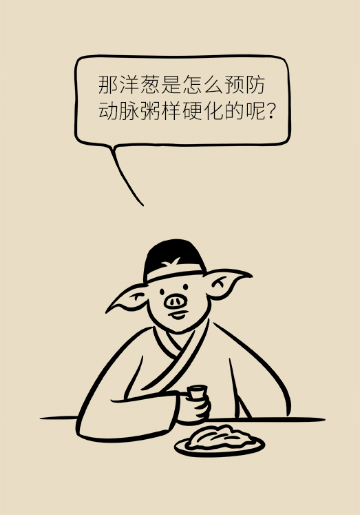 洋蔥可以預(yù)防動(dòng)脈硬化，是真的嗎？