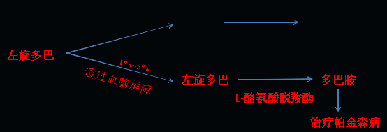 同樣的藥，為什么對他有效卻對你沒效果，可能得問腸道菌群