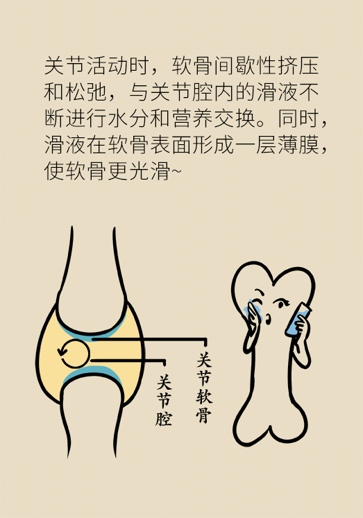 人老關節(jié)也會老嗎？