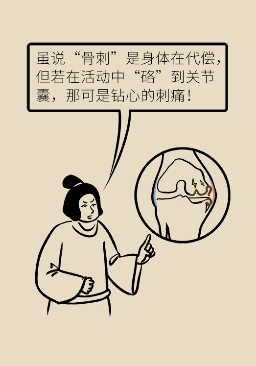 人老關節(jié)也會老嗎？