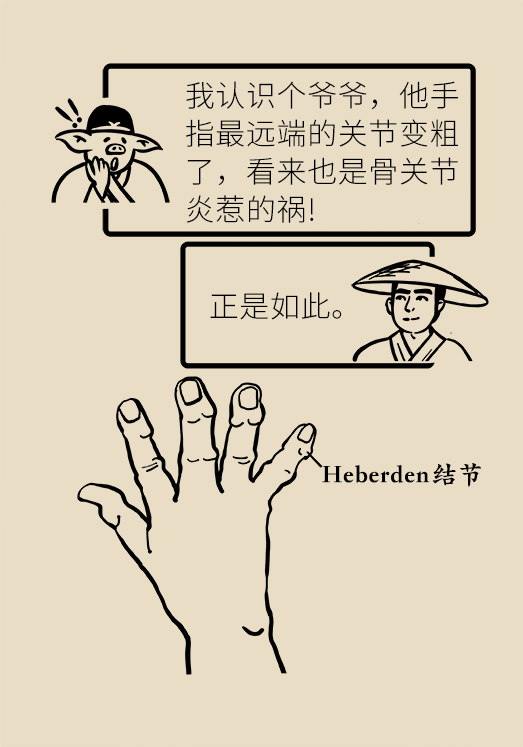 人老關節(jié)也會老嗎？