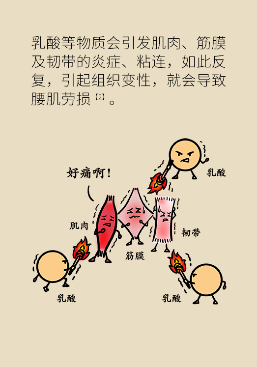 久坐久站致腰肌勞損？六招教你戰(zhàn)勝腰痛