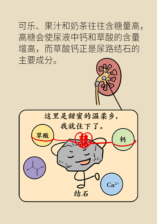 尿結石科普動漫