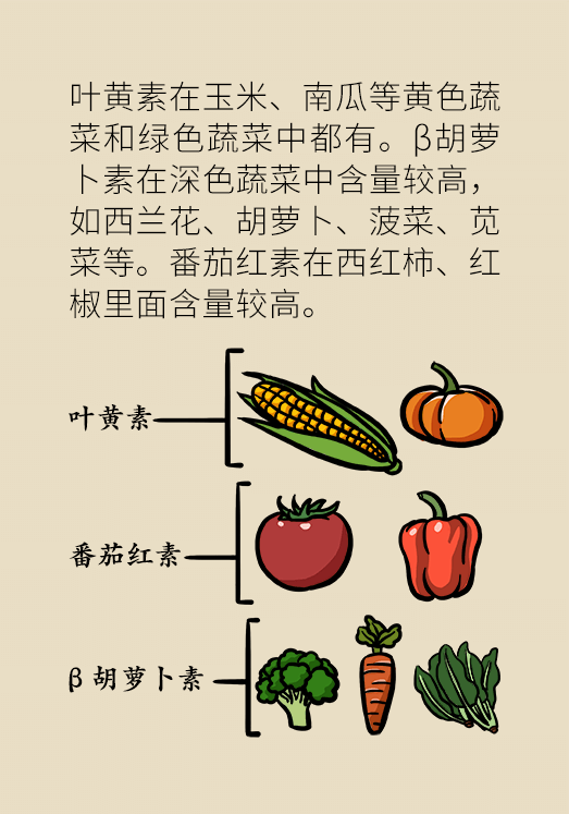 剩菜醫(yī)學知識科普動漫制作