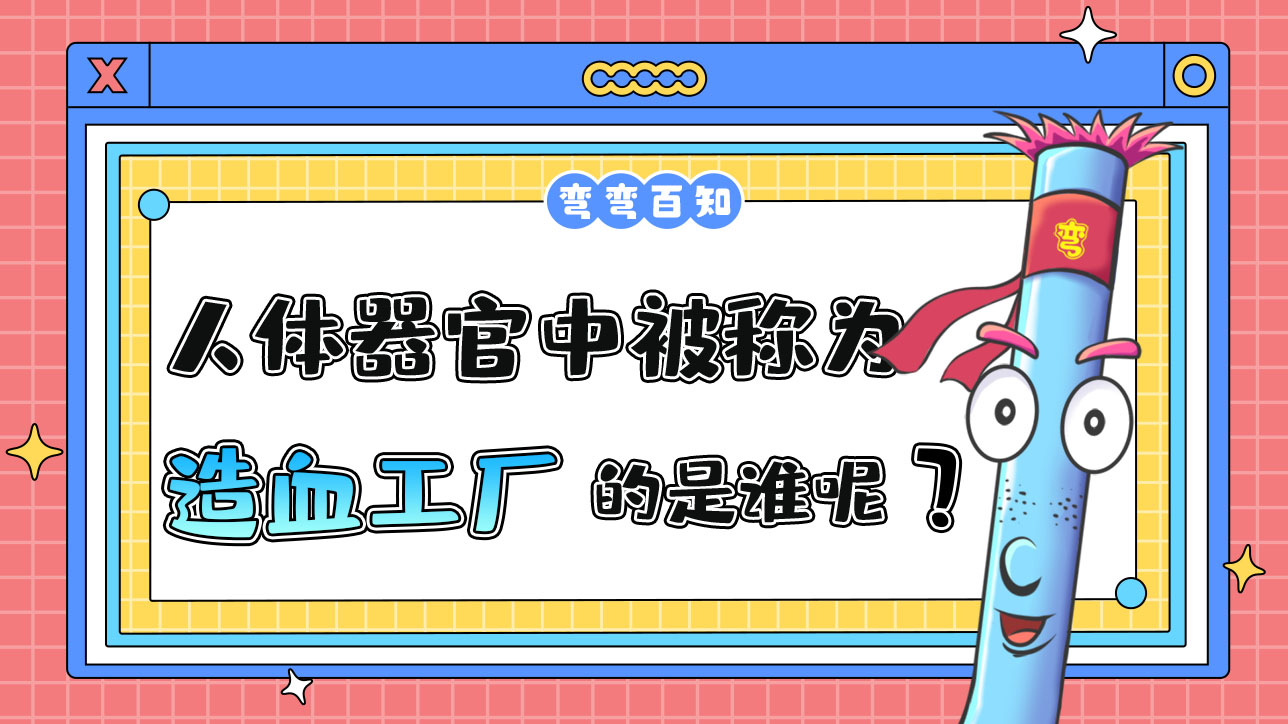 人體器官被稱為“造血工廠”的是誰呢？.jpg