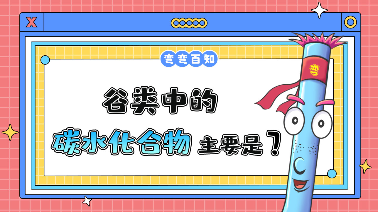 谷類中的碳水化合物主要是？.jpg