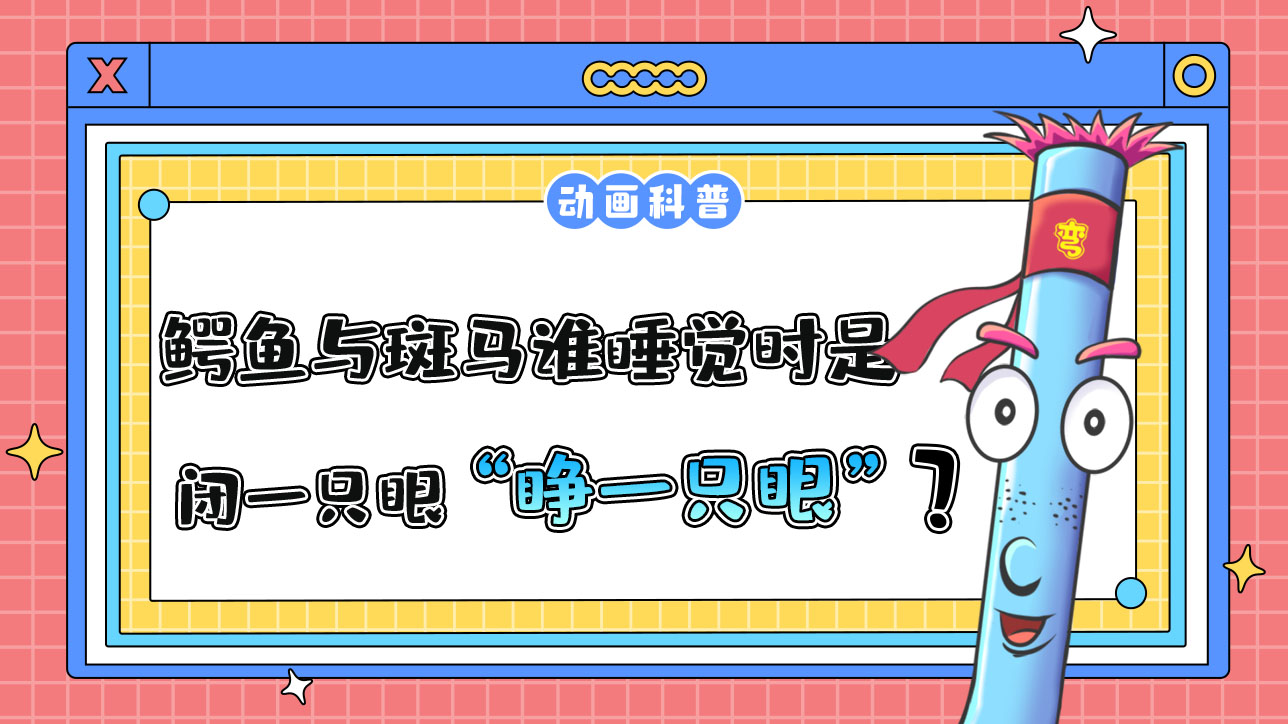 鱷魚與斑馬誰睡覺時是“睜一只眼閉一只眼”？.jpg