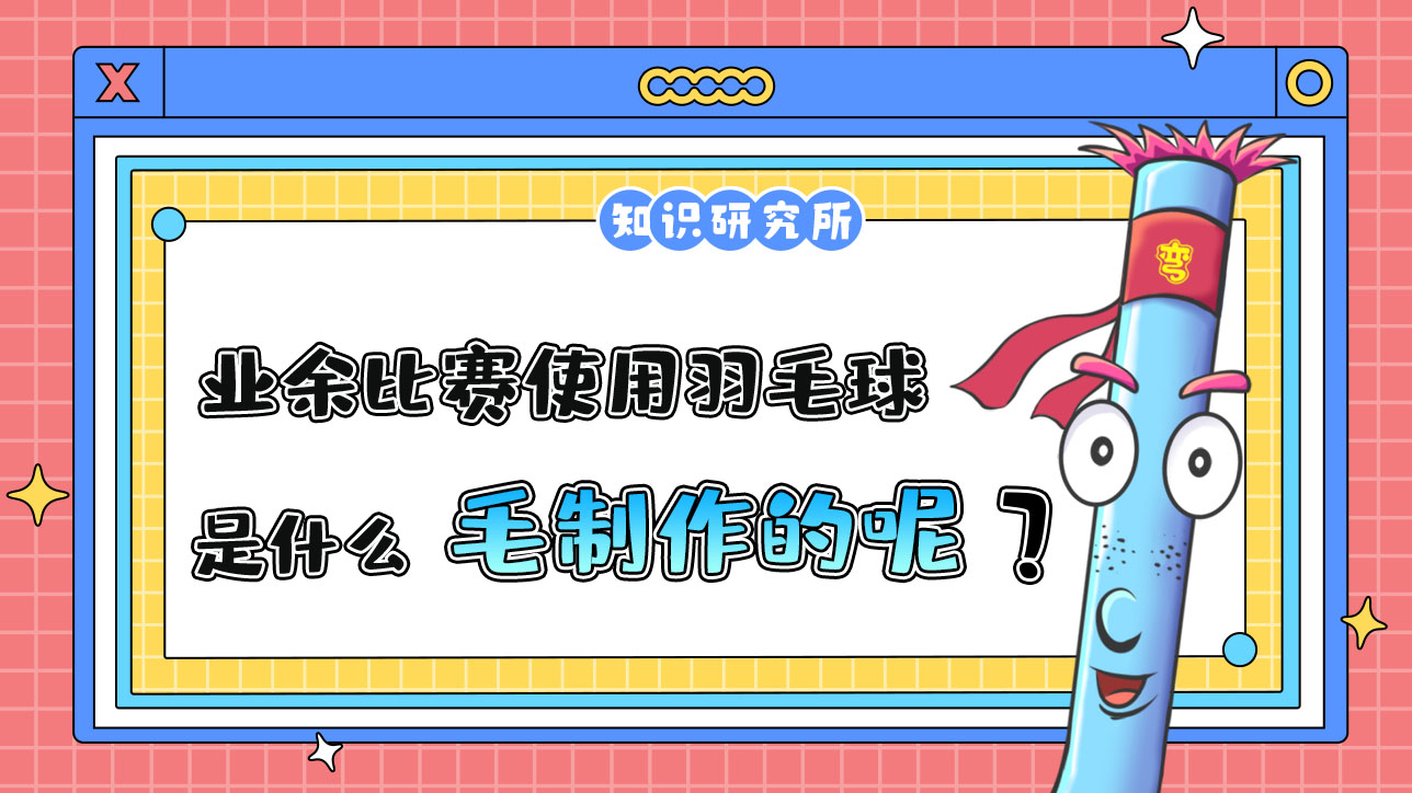 業(yè)余比賽中使用的羽毛球是什么毛制作的呢？.jpg